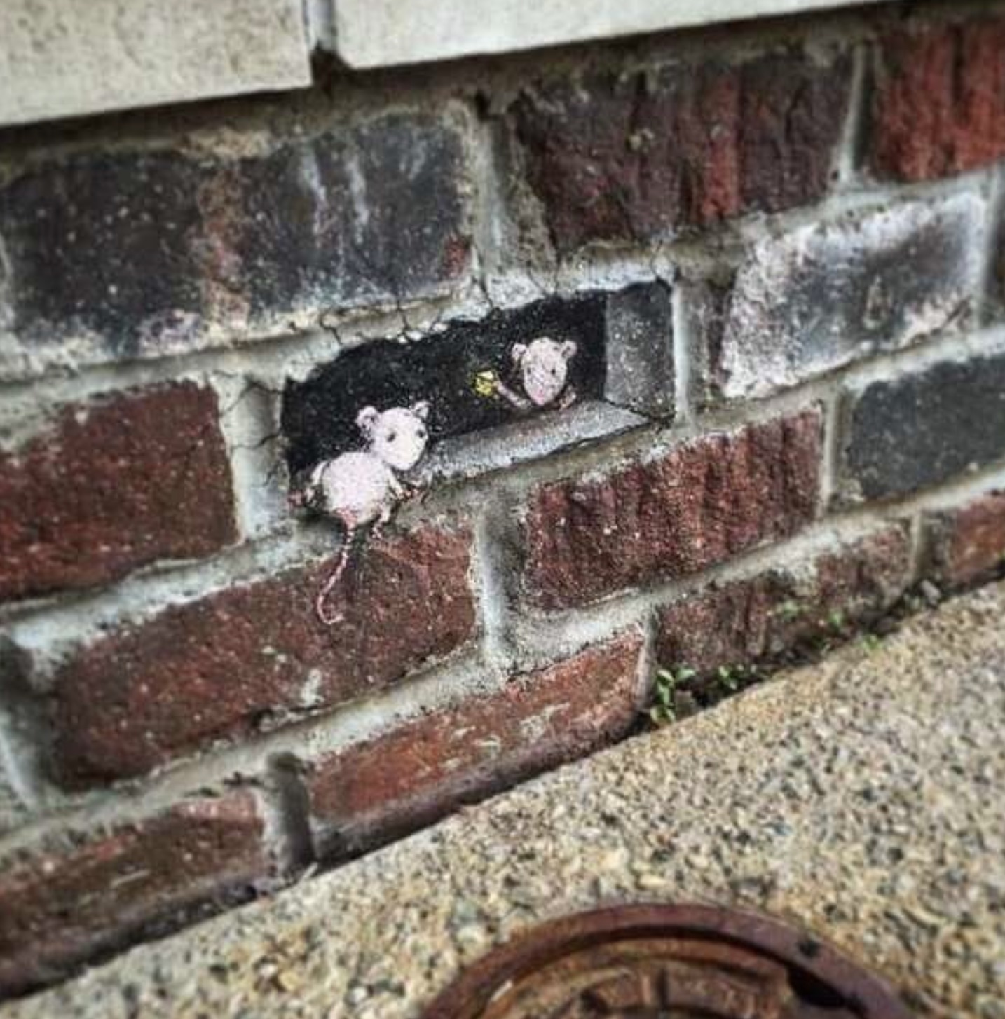 david zinn street art brique